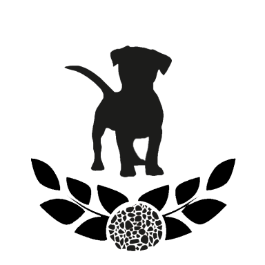 Logo Natrüff - Hund steht über Trüffel umrandet von Baumzweigen